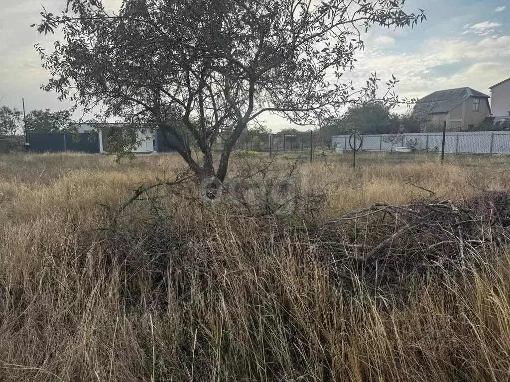 Участок в Крым, Симферопольский район, Елочка СТ  (4.49 сот.) - Фото 2