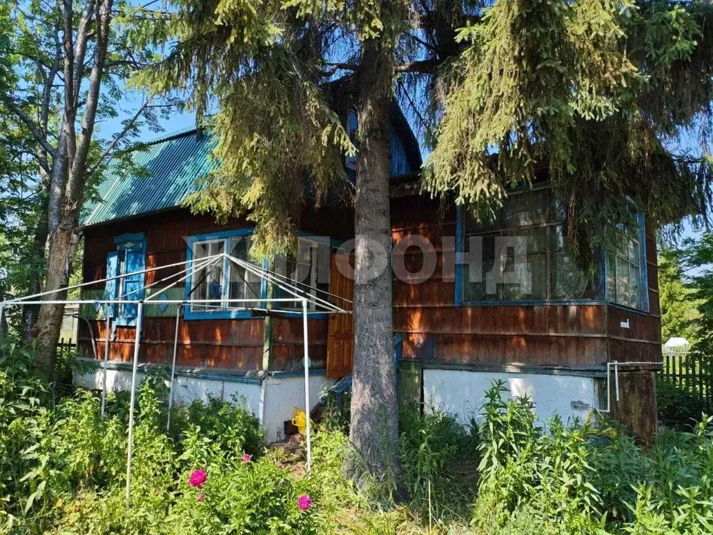 Дом в Новосибирская область, Новосибирск Бытовик СНТ, ул. Цветочная, 1 ... - Фото 1