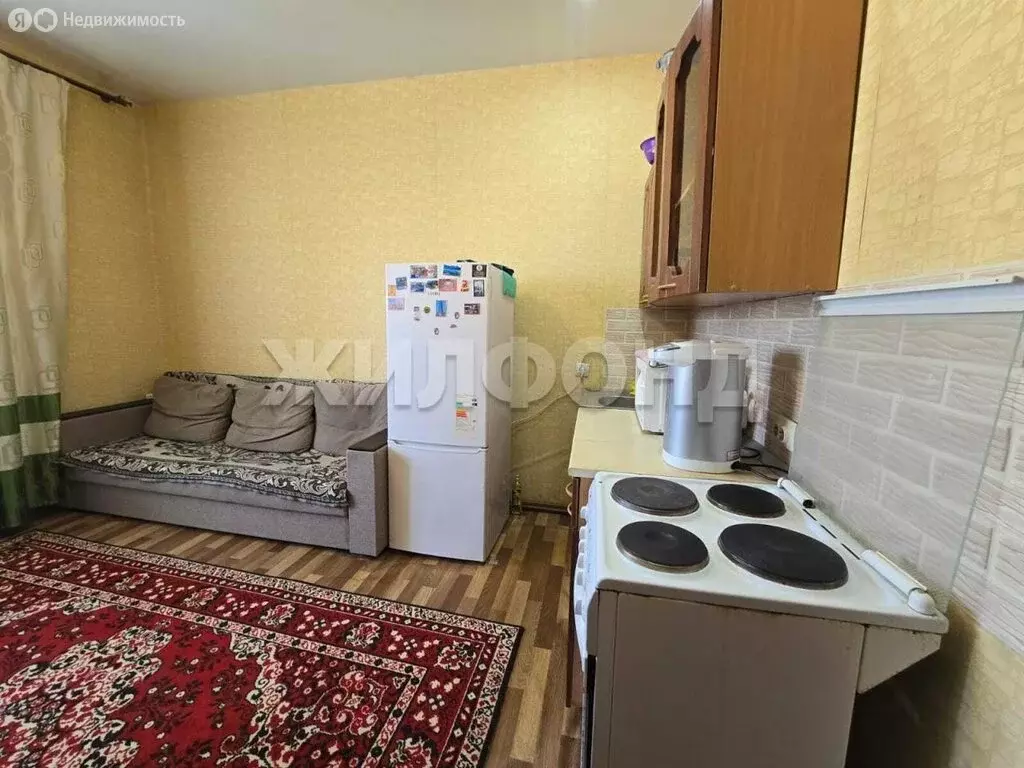 Квартира-студия: Новосибирск, улица Одоевского, 1/8 (19.5 м) - Фото 1