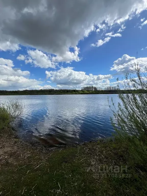 Дом в Псковская область, Палкинская волость, д. Мольгино  (22 м) - Фото 1