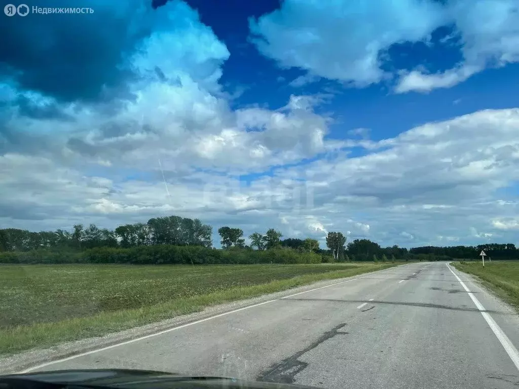 Участок в Новосибирский район, Морской сельсовет, ТСН Ближняя Дача ... - Фото 0