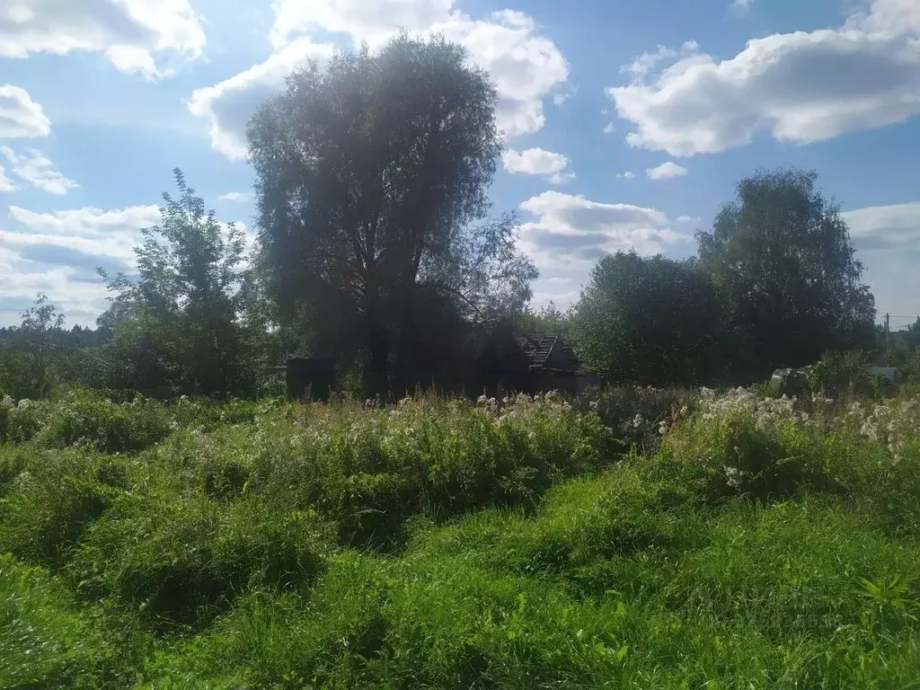 Участок в Московская область, Мытищи городской округ, д. Ларево ул. ... - Фото 2