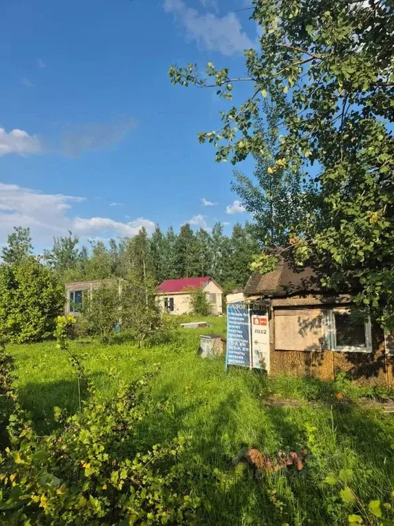 Участок в Санкт-Петербург Сергиево тер., ул. Матросова, 44 (11.95 ... - Фото 0