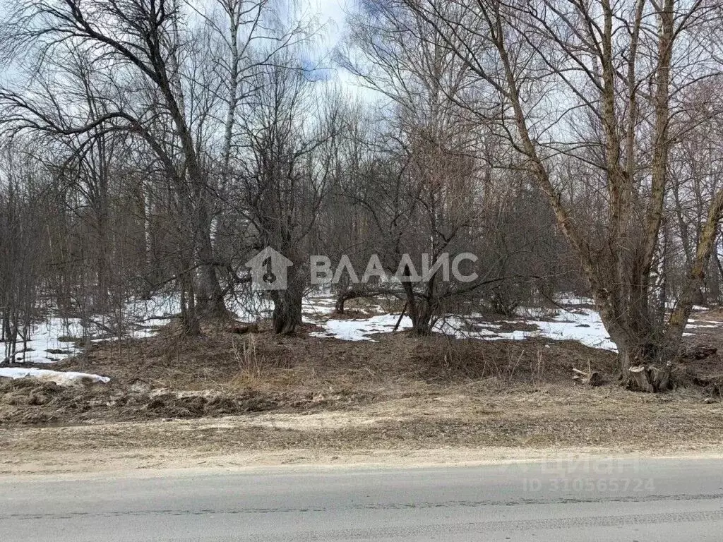 Участок в Владимирская область, Гороховецкий район, Куприяновское ... - Фото 0