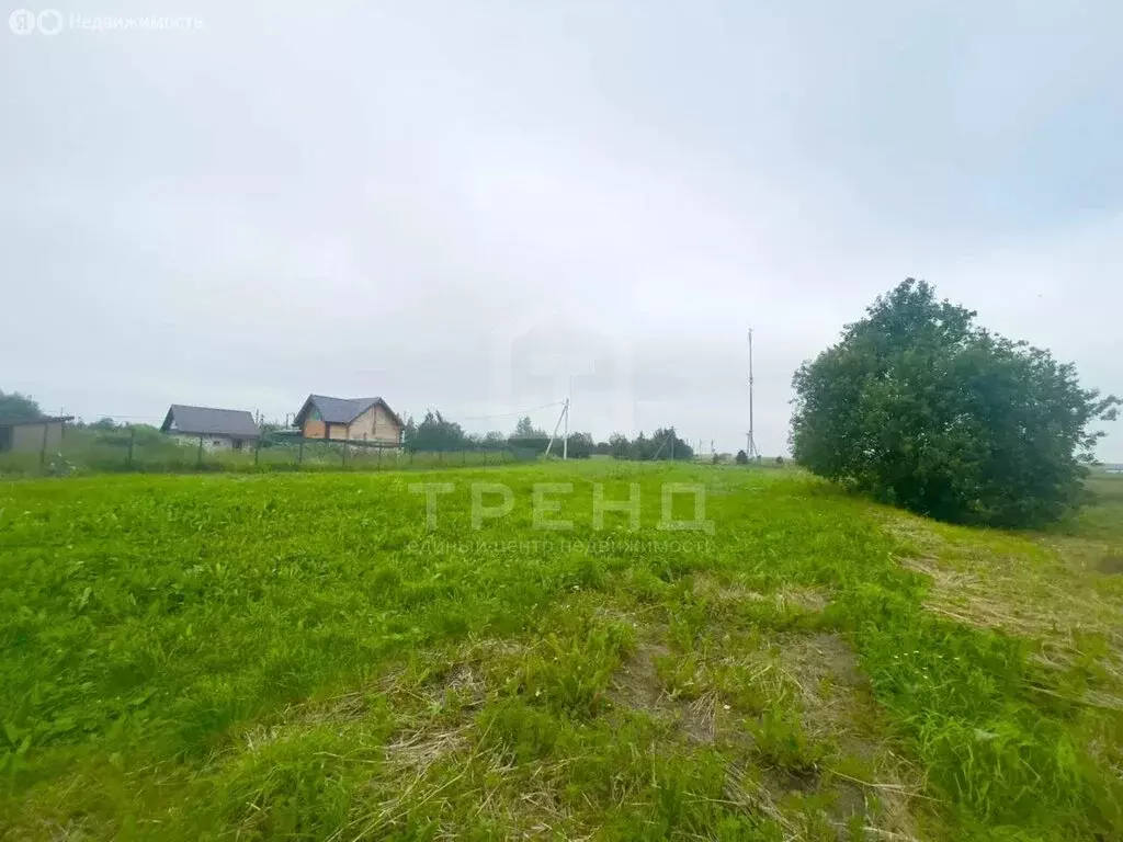 Участок в деревня Яльгелево, Красносельская улица, 41 (11.6 м) - Фото 1