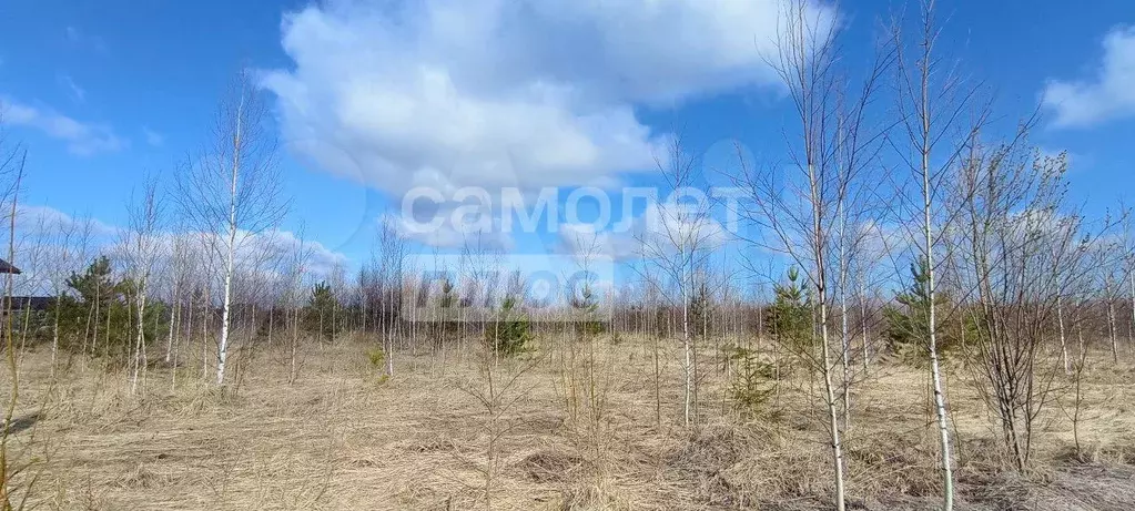 Участок 10,7 сот. (ИЖС) - Фото 1