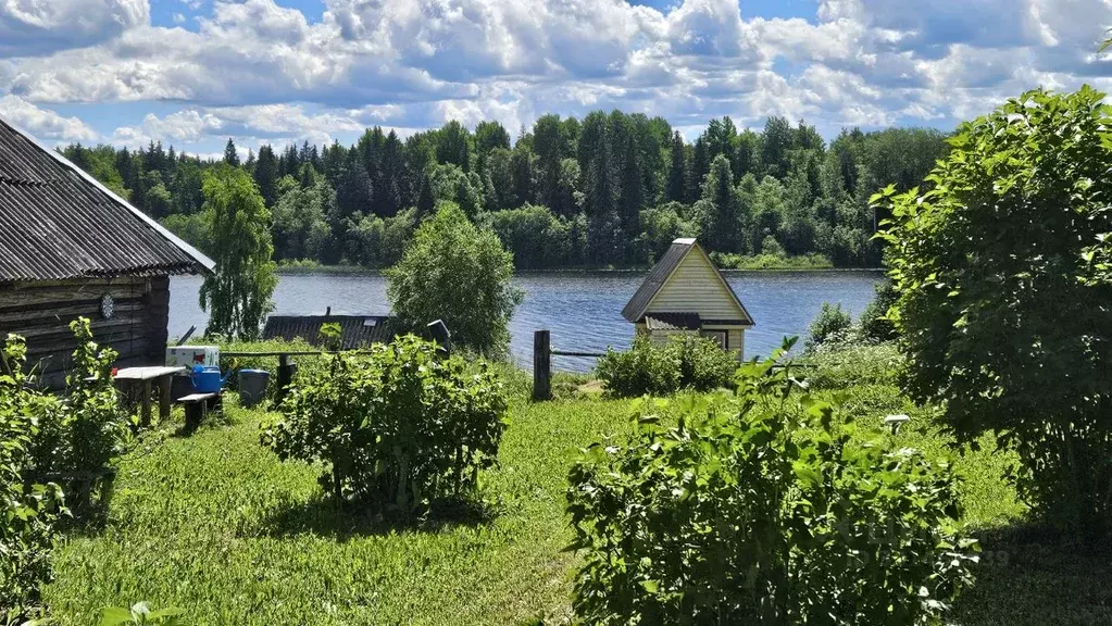 Участок в Новгородская область, Демянский муниципальный округ, д. ... - Фото 1