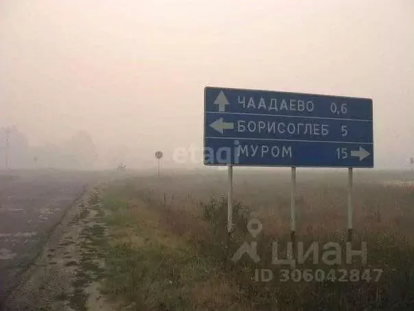 Участок в Владимирская область, Муром с. Чаадаево, ул. Муромская, 63 ... - Фото 0