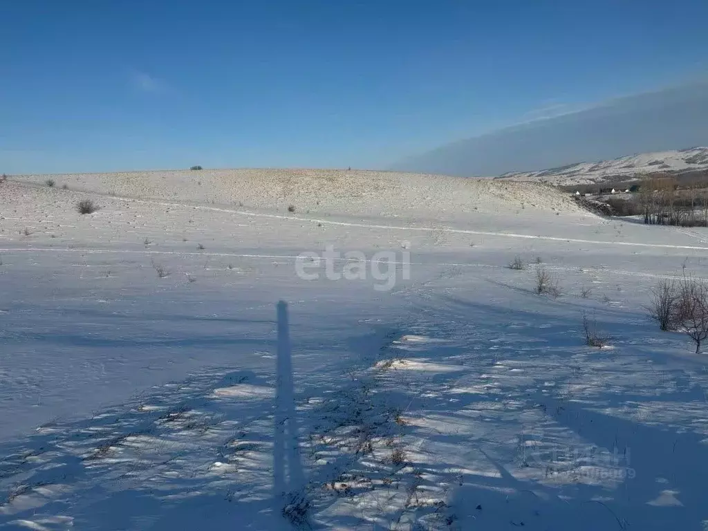 Купить Участок В С Подгорное Горно Алтайск