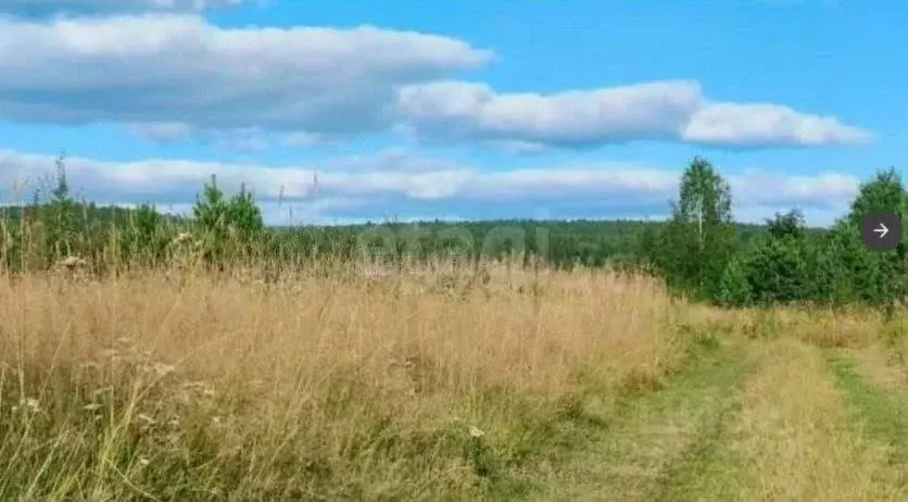 Участок в Свердловская область, Горноуральский муниципальный округ, с. ... - Фото 1
