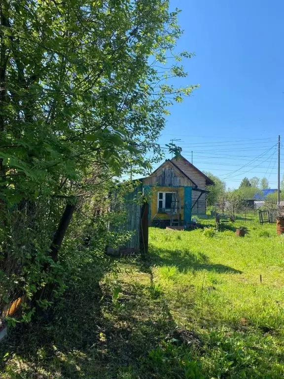 Участок в Новосибирская область, Новосибирский район, Новолуговской ... - Фото 1