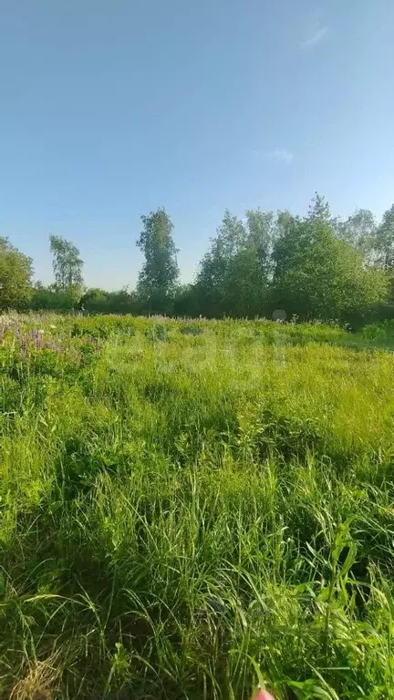 Участок в Санкт-Петербург, Санкт-Петербург, Павловск Славяночка-2 СНТ, ... - Фото 0