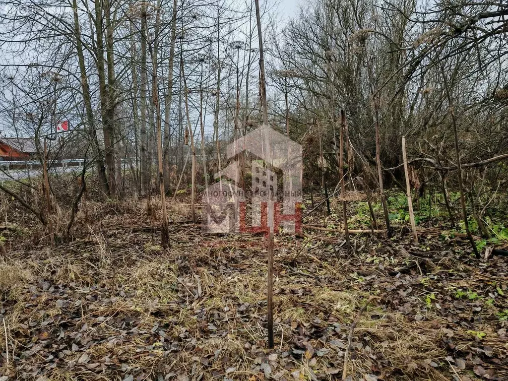 Участок в Тверская область, Конаковский муниципальный округ, деревня ... - Фото 2