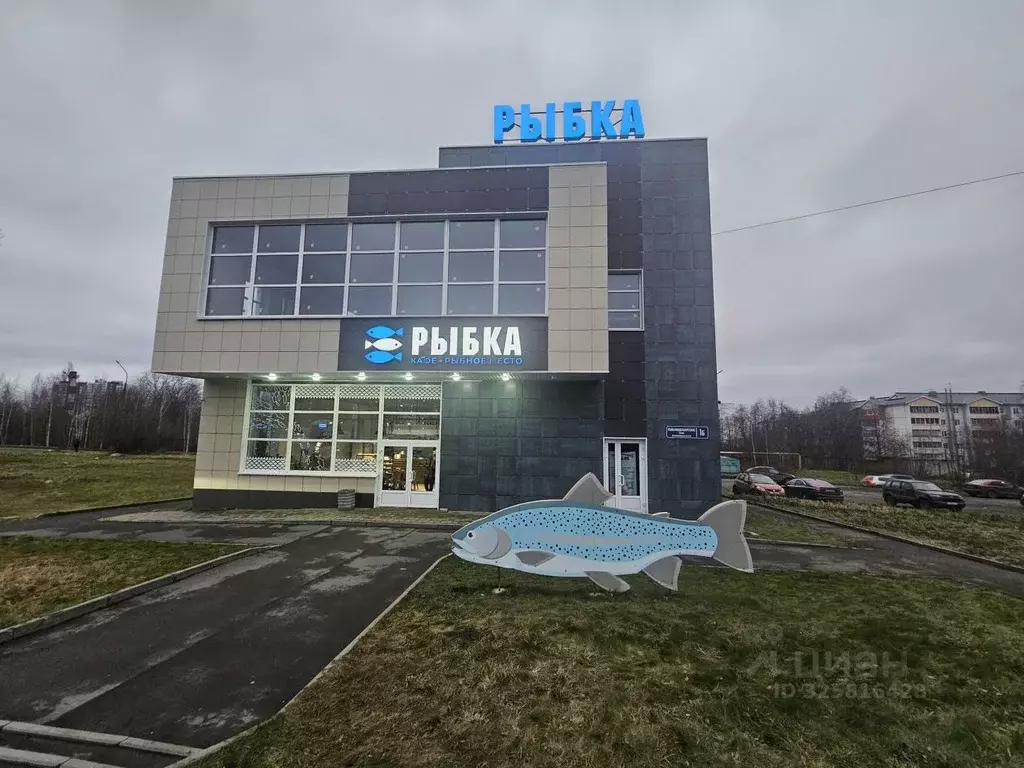 Помещение свободного назначения в Карелия, Петрозаводск ... - Фото 1