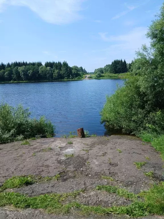 Участок в Новгородская область, Новгородский район, Бронницкое с/пос, ... - Фото 1