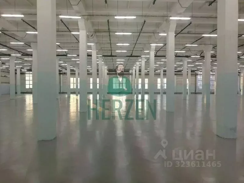 Склад в Московская область, Щелково Фабричная ул., 1 (4415 м) - Фото 2