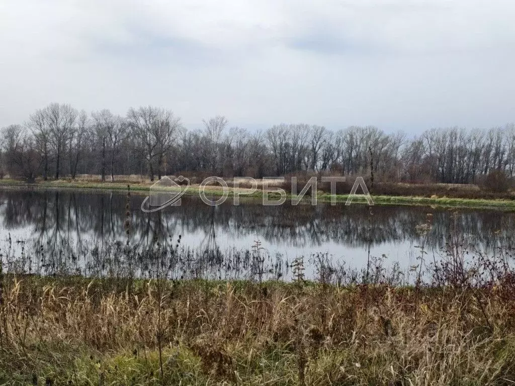 Участок в Тюменская область, Тюменский муниципальный округ, ... - Фото 1
