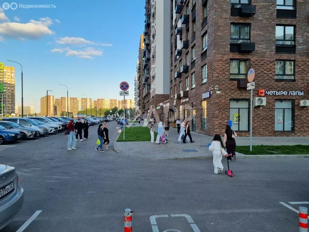 Помещение свободного назначения (21.2 м) - Фото 1