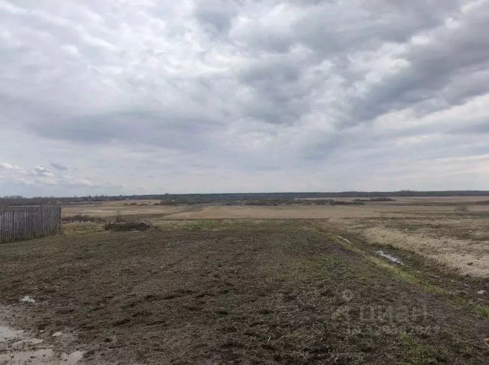 Участок в Московская область, Шатура муниципальный округ, д. ... - Фото 1