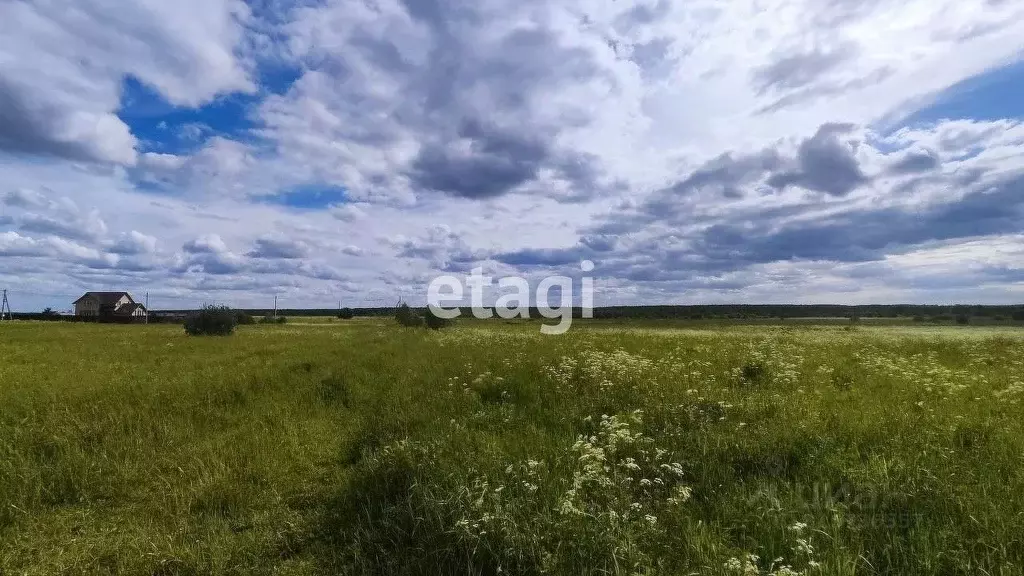 Участок в Владимирская область, Петушинский район, Пекшинское ... - Фото 1