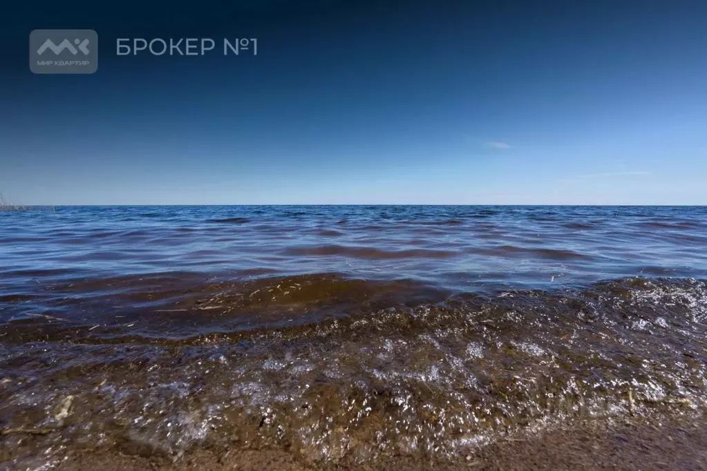 Коттедж в Ленинградская область, Всеволожский район, Рахьинское ... - Фото 1