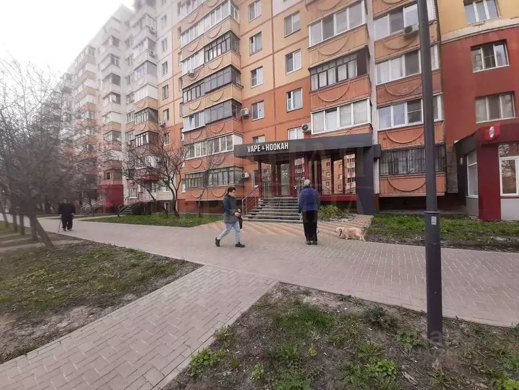 Торговая площадь в Белгородская область, Белгород ул. Буденного, 10 ... - Фото 1