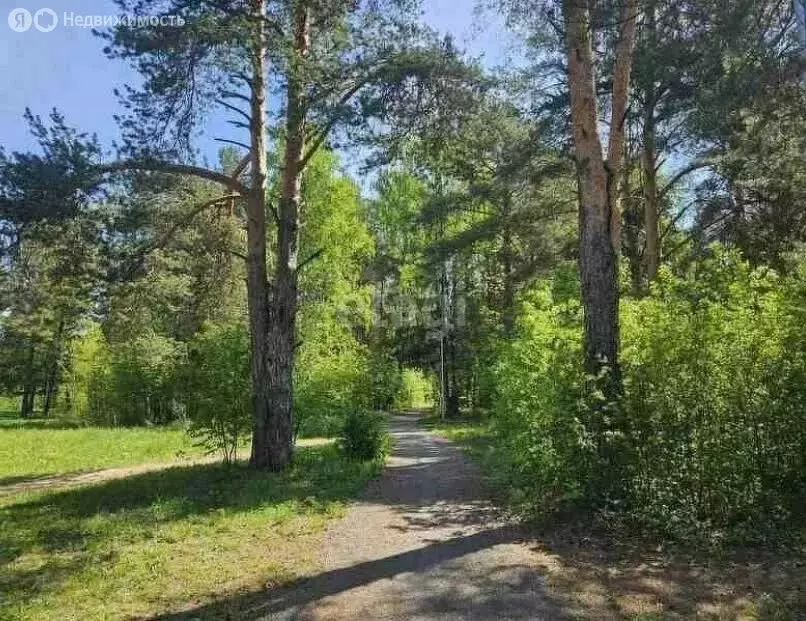 Участок в Пермский край, Добрянский муниципальный округ, деревня ... - Фото 1