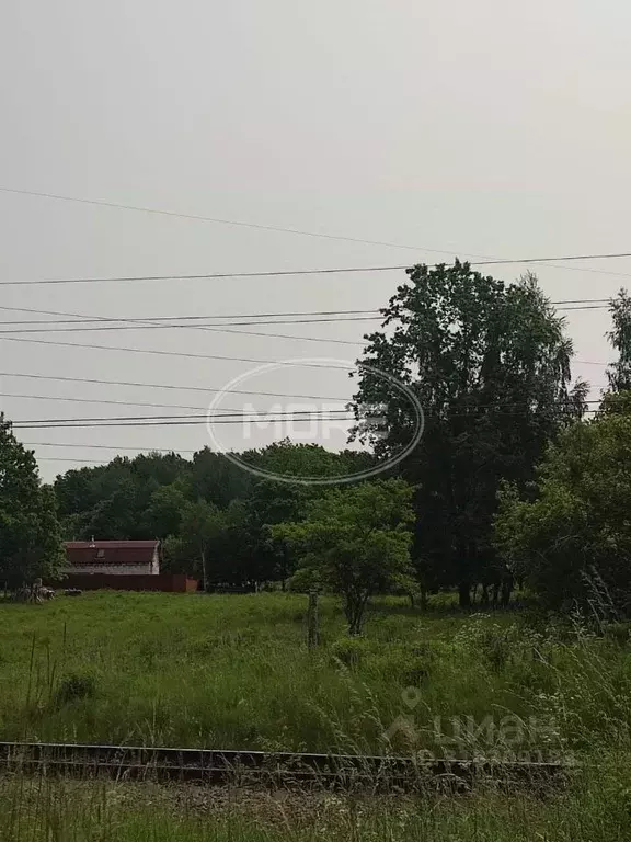 Участок в Калининградская область, Балтийск Залив-2 ТСН, проезд ... - Фото 1