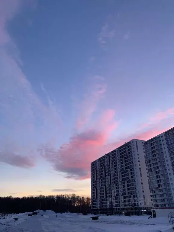 Студия Тюменская область, Тюменский муниципальный округ, д. Патрушева, ... - Фото 1