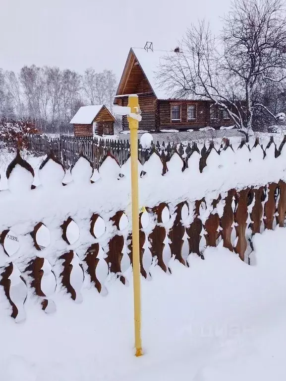 Дом в Новосибирская область, Черепановский район, с. Ярки Полевая ул., ... - Фото 2