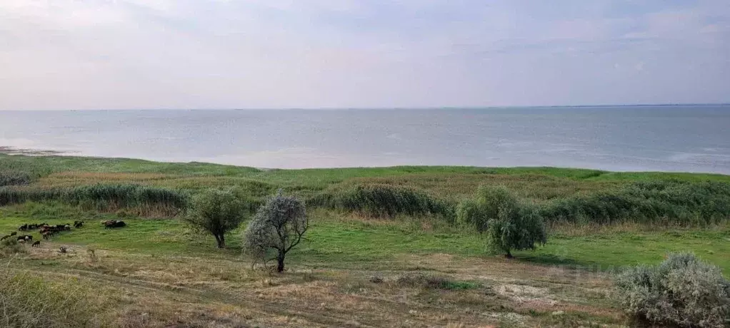Участок в Ростовская область, Азовский район, с. Круглое  (21.5 сот.) - Фото 0