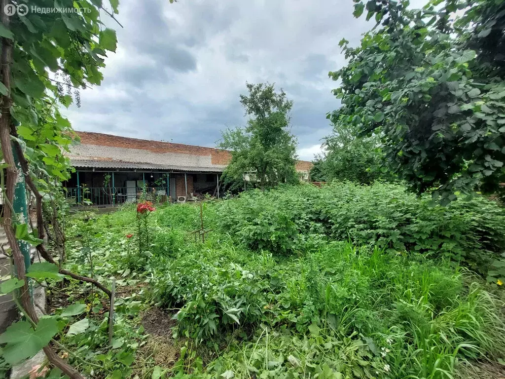 Дом в Михайловское, улица Орджоникидзе, 2Г (80 м) - Фото 1