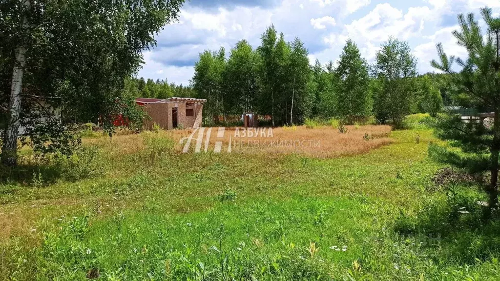 Участок в Московская область, Щелково городской округ, с. Трубино ул. ... - Фото 1