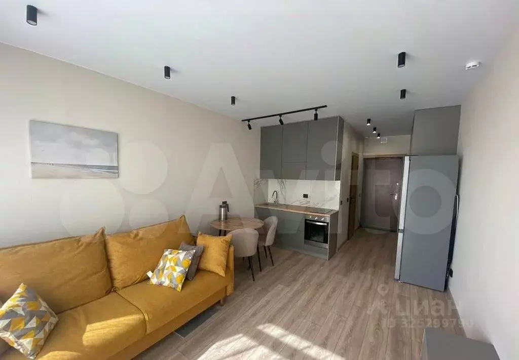 Студия Кемеровская область, Кемерово ул. Мичурина, 58к1 (25.0 м) - Фото 1