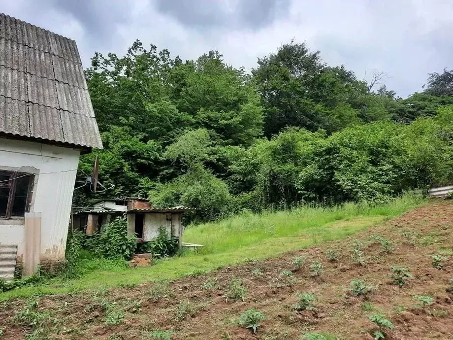 Участок в Краснодарский край, Сочи пос. Вардане, ул. Молодежная (10.0 ... - Фото 2