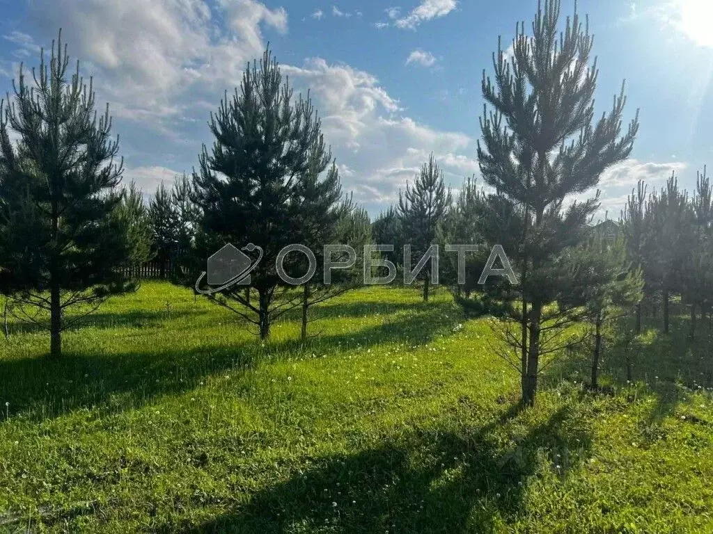 Участок в Свердловская область, Тугулым пгт аллея Славы (6.66 сот.) - Фото 1