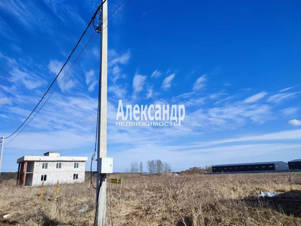 Участок в Ленинградская область, Ломоносовский район, Аннинское ... - Фото 2