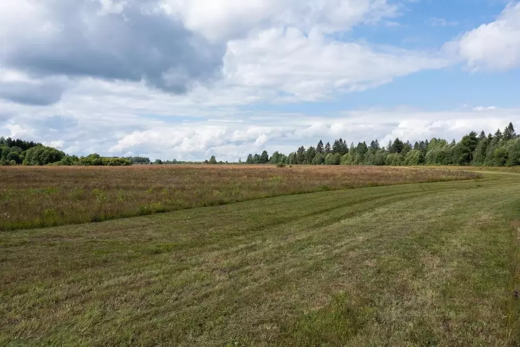 Участок в Ленинградская область, Гатчинский район, с. Орлино, Орлино ... - Фото 0