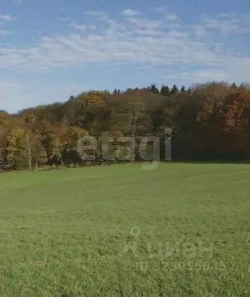 Участок в Мордовия, Саранск городской округ, с. Горяйновка ул. ... - Фото 2