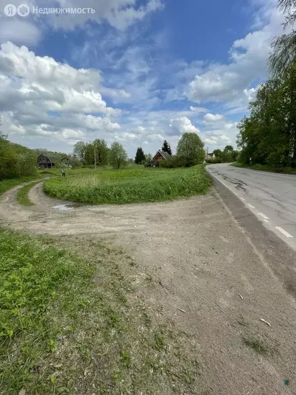 Участок в Лопухинское сельское поселение, деревня Заостровье (20 м) - Фото 0