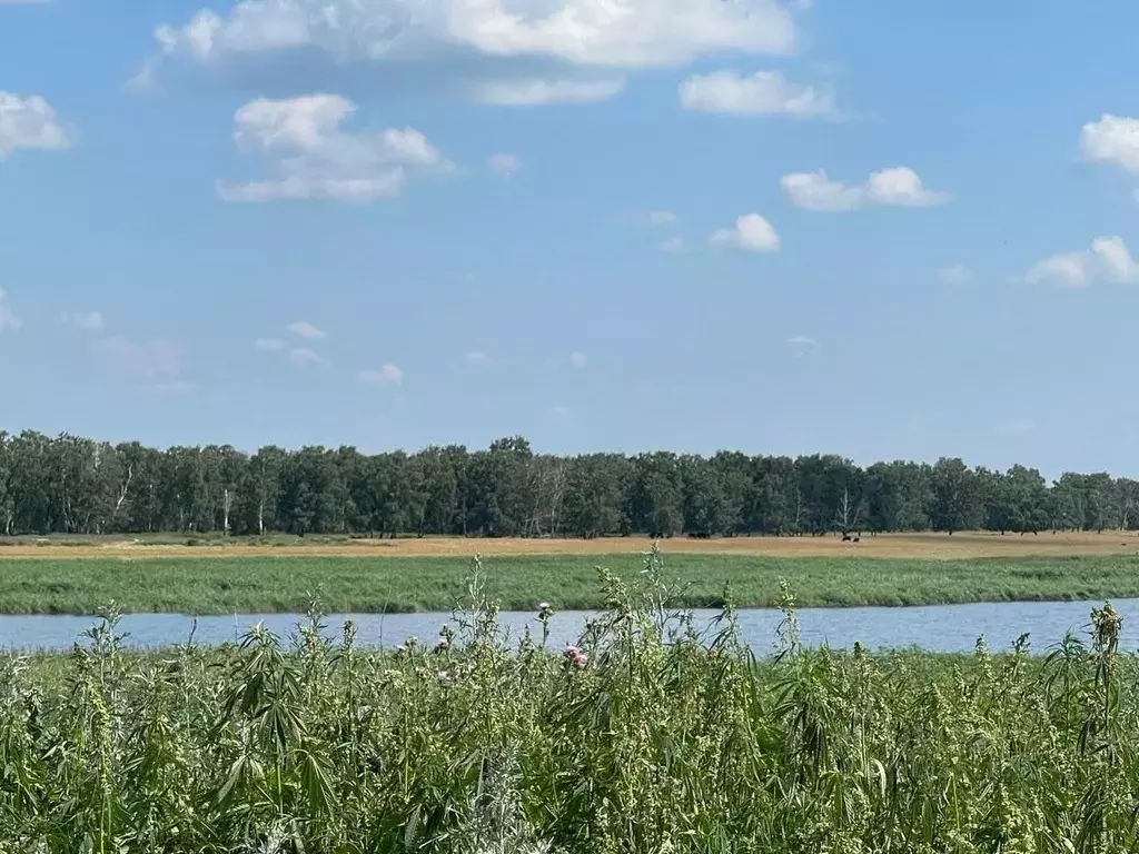 Дом в Омская область, Любинский район, с. Китайлы ул. Труда (33 м) - Фото 0