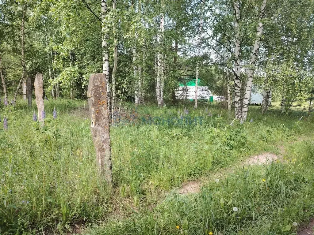 Участок в Нижегородская область, Богородский муниципальный округ, Заря ... - Фото 1