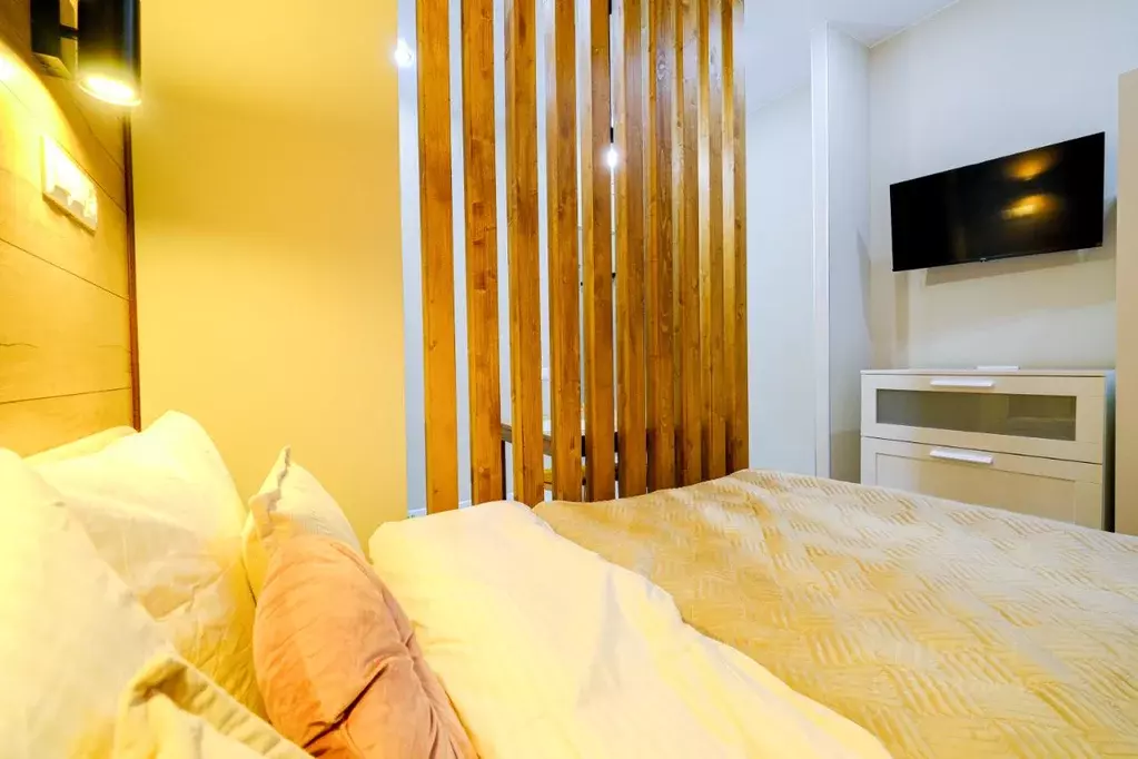 Студия Москва просп. Защитников Москвы, 3к1 (17.0 м) - Фото 2