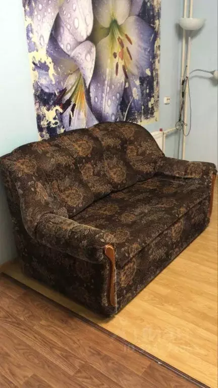 Студия Ленинградская область, Сертолово Всеволожский район, ул. ... - Фото 2