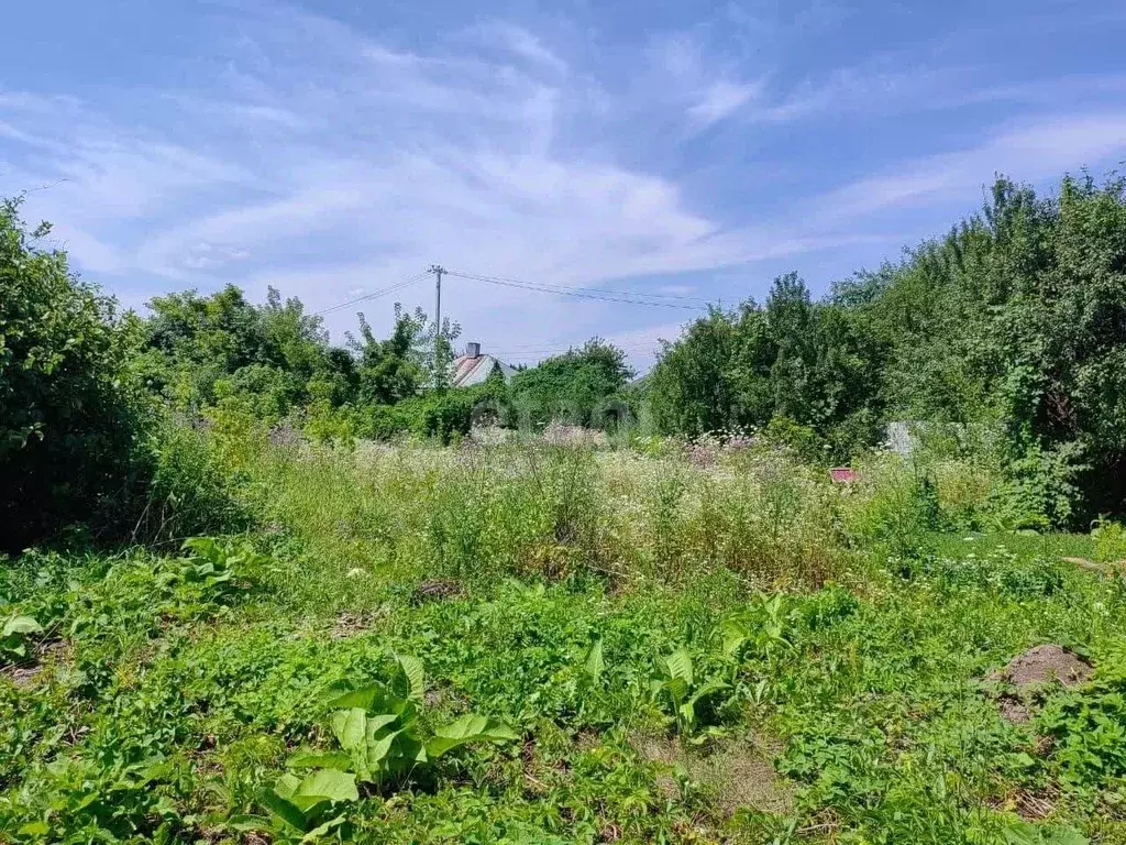 Участок в Белгородская область, Старый Оскол Сосновый Бор СНТ, ул. ... - Фото 0