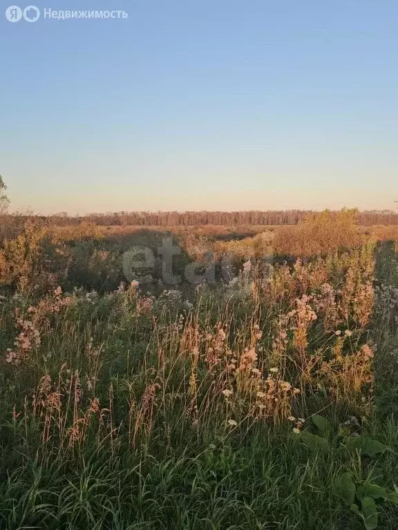 Участок в Слободо-Туринский район, Усть-Ницинское сельское поселение, ... - Фото 1