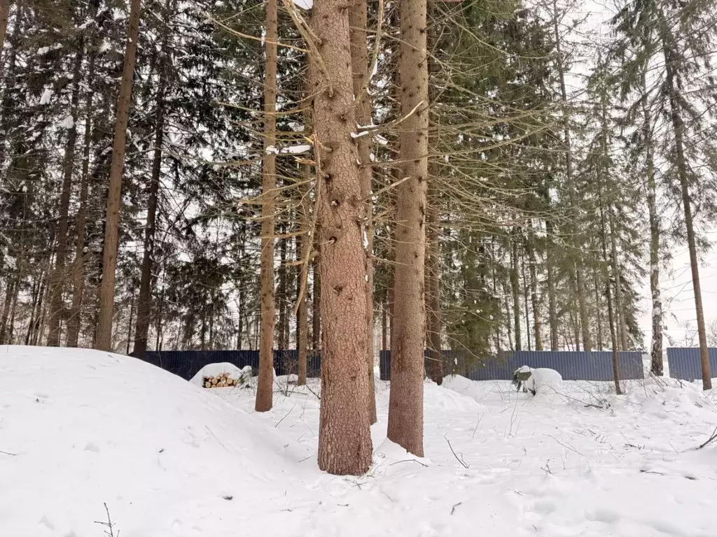 Участок в Московская область, Одинцовский городской округ, Каретный ... - Фото 2