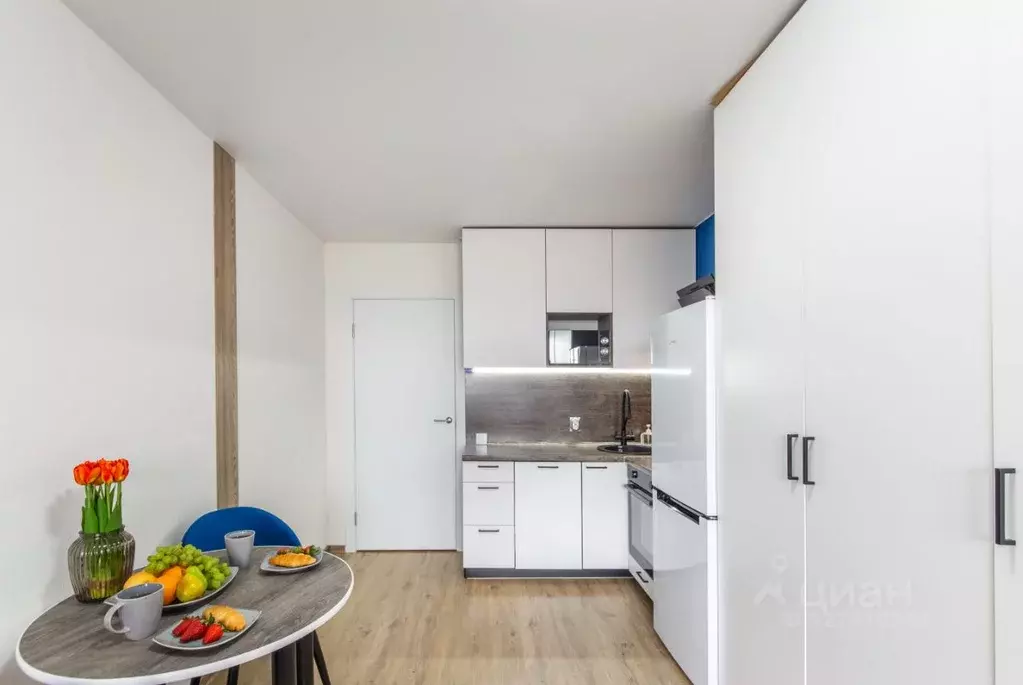 Студия Санкт-Петербург Варфоломеевская ул., 6 (26.7 м) - Фото 2