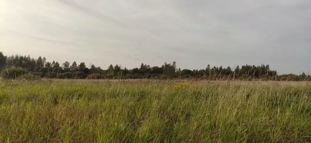 Участок в Московская область, Талдомский городской округ, д. Мякишево  ... - Фото 1