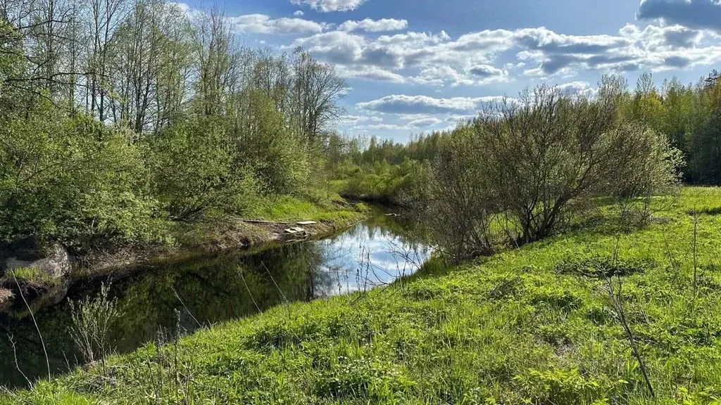 участок в новгородская область, маловишерское городское поселение, д. . - Фото 1